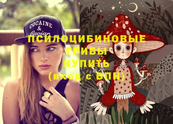 ешки Дмитров