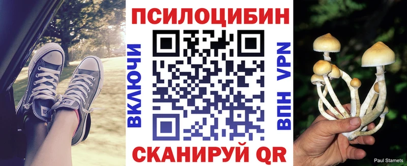 Галлюциногенные грибы GOLDEN TEACHER  цены наркотик  KRAKEN ссылка  Отрадный 